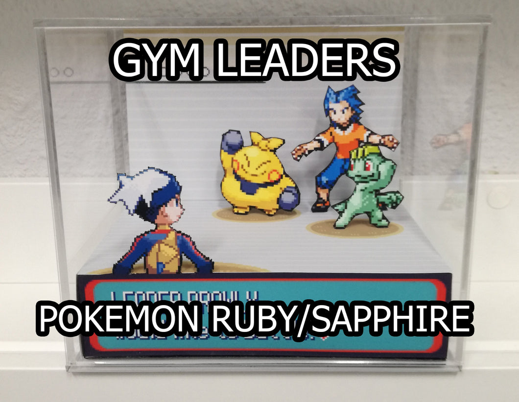 Pokemon Ruby/Sapphire Gym Leaders Cubic Diorama