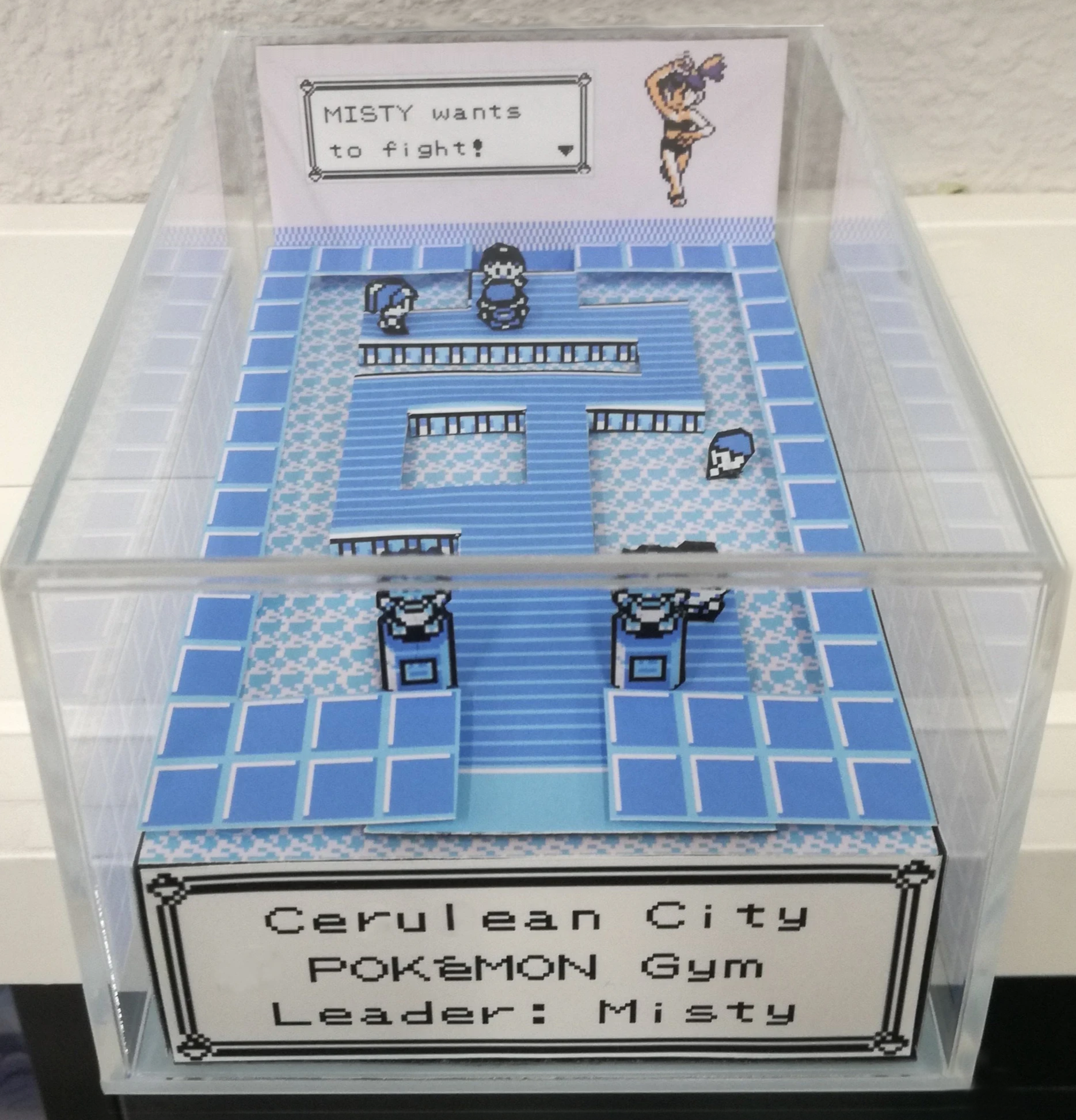 Cerulean City Gym