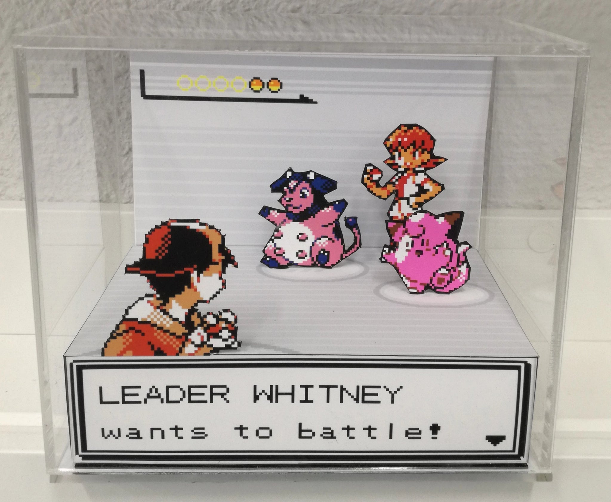 pokemon gym leader whitney