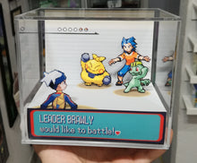 Load image into Gallery viewer, Pokemon Ruby/Sapphire Gym Leaders Cubic Diorama