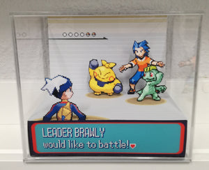 Pokemon Ruby/Sapphire Gym Leaders Cubic Diorama