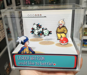 Pokemon Ruby/Sapphire Gym Leaders Cubic Diorama