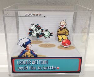 Pokemon Ruby/Sapphire Gym Leaders Cubic Diorama