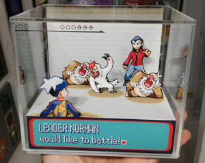 Pokemon Ruby/Sapphire Gym Leaders Cubic Diorama