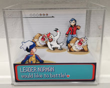 Load image into Gallery viewer, Pokemon Ruby/Sapphire Gym Leaders Cubic Diorama