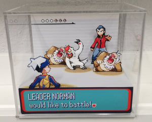 Pokemon Ruby/Sapphire Gym Leaders Cubic Diorama