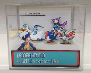 Pokemon Ruby/Sapphire Gym Leaders Cubic Diorama