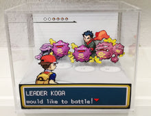 Load image into Gallery viewer, Pokemon Fire Red/ Leaf Green Gym Leaders Cubic Diorama