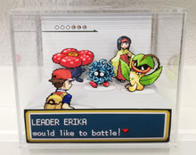 Load image into Gallery viewer, Pokemon Fire Red/ Leaf Green Gym Leaders Cubic Diorama