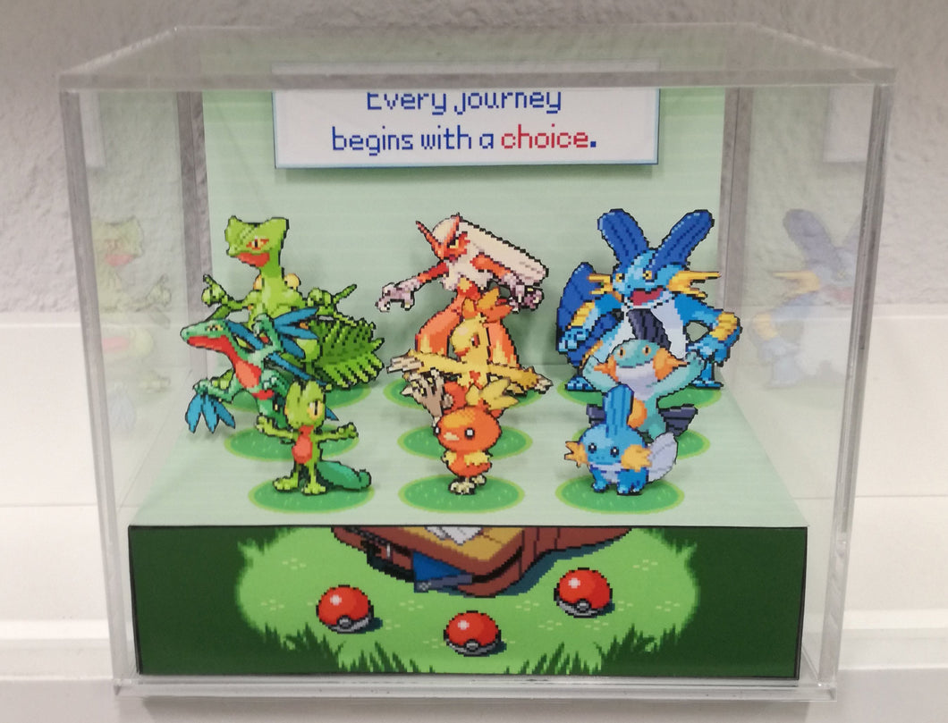 Pokemon Ruby/Sapphire Evolutions Cubic Diorama