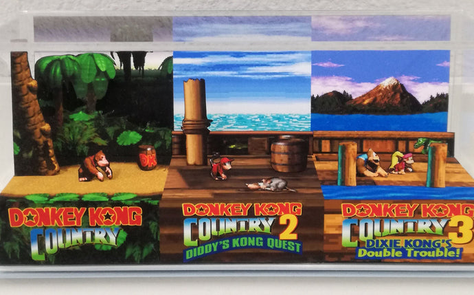 Donkey Kong Country Games Panoramic Cube