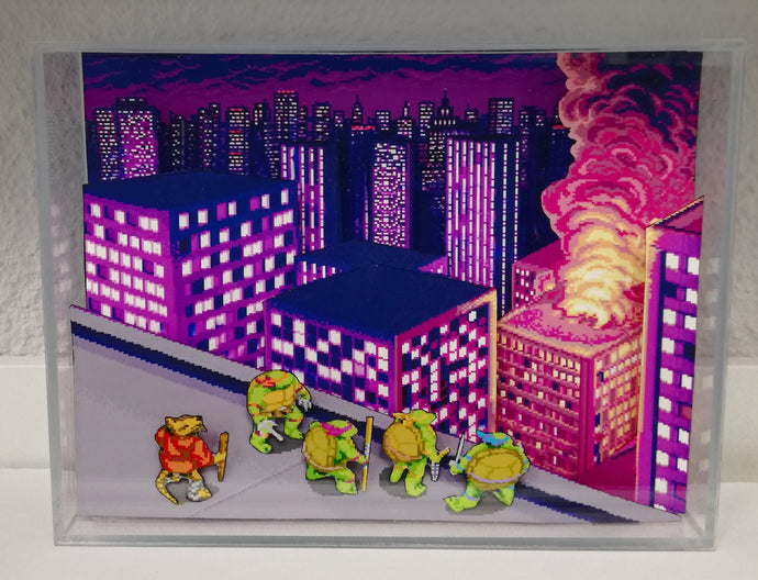 Teenage Mutant Ninja Turtles Clear Box