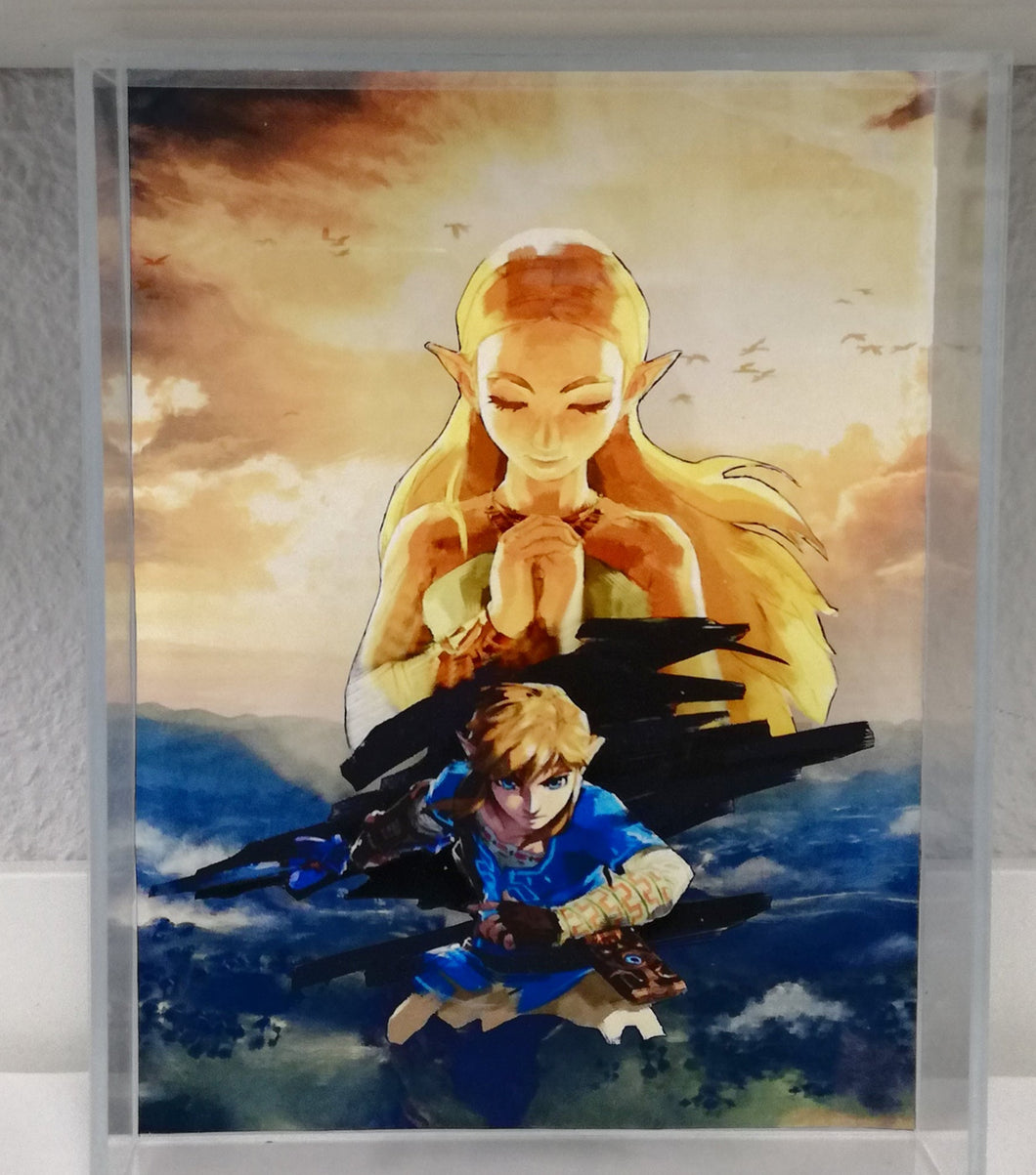 Zelda Breath of the Wild Clear Box