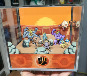 Pokemon Home Fighting Cubic Diorama