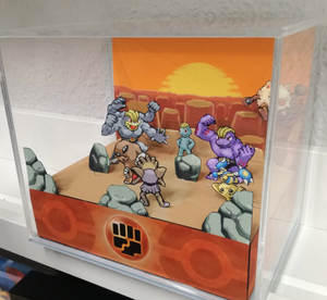 Pokemon Home Fighting Cubic Diorama