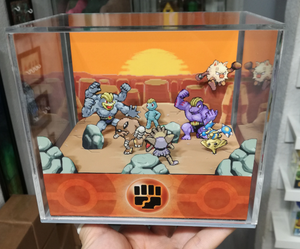 Pokemon Home Fighting Cubic Diorama