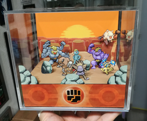 Pokemon Home Fighting Cubic Diorama