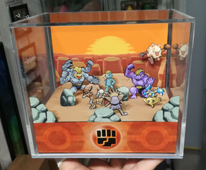 Pokemon Home Fighting Cubic Diorama