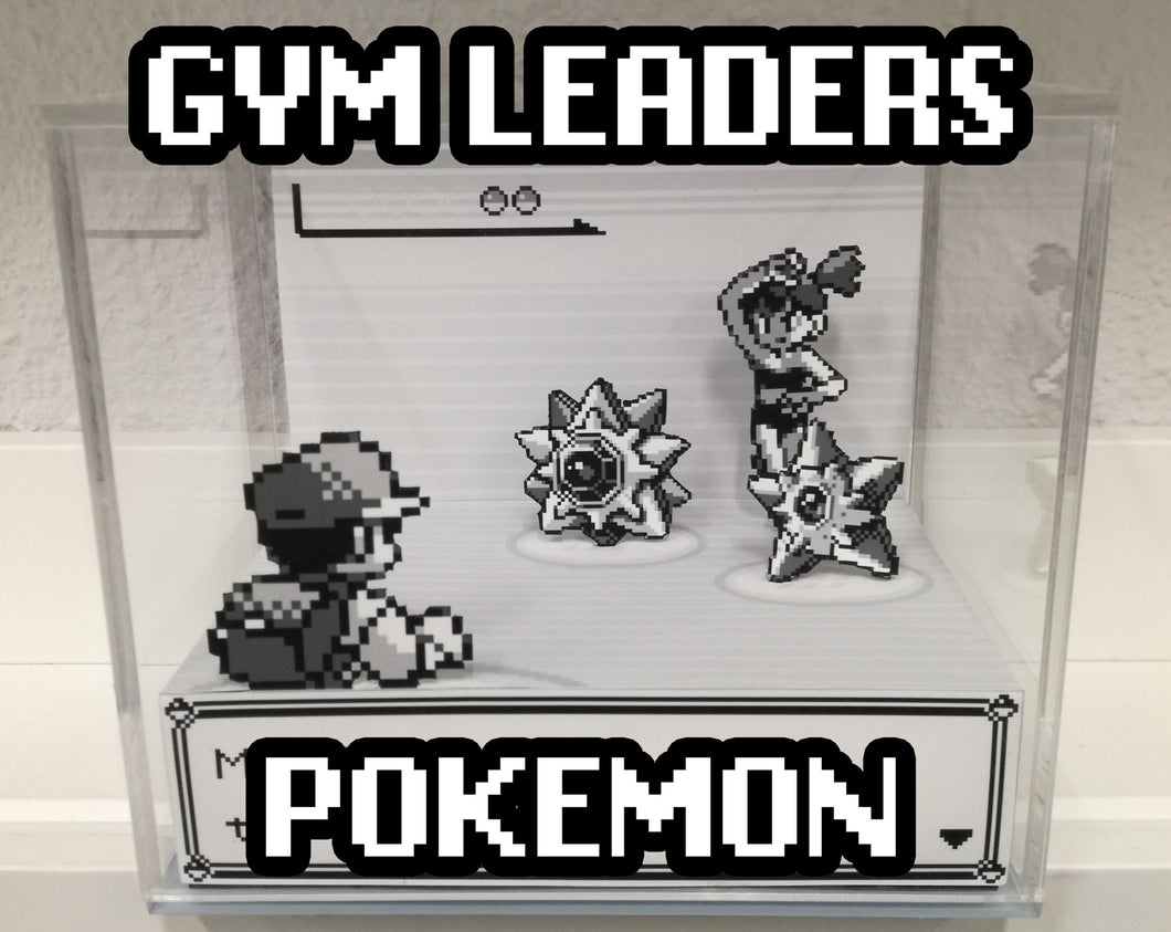 Pokemon Gym Leaders Cubic Diorama